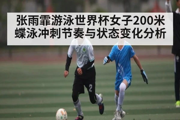 张雨霏游泳世界杯女子200米蝶泳冲刺节奏与状态变化分析